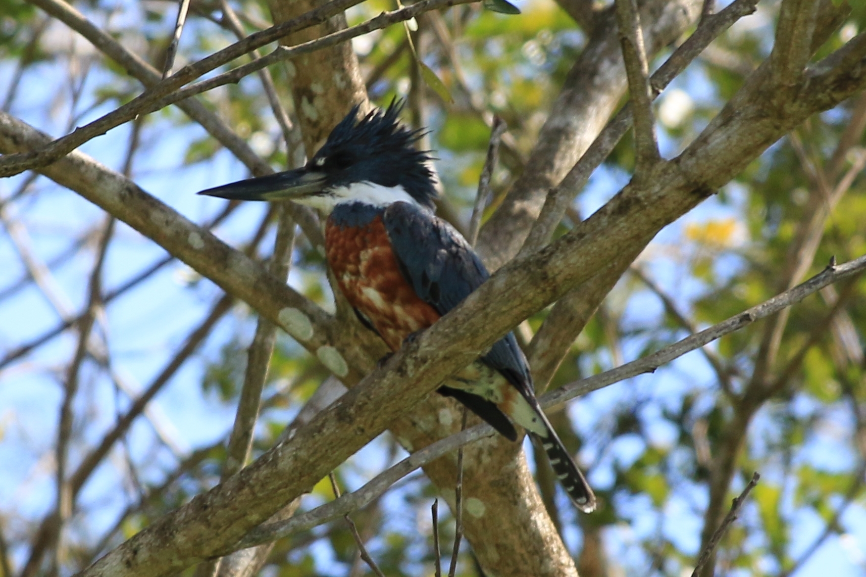 Costa Rica